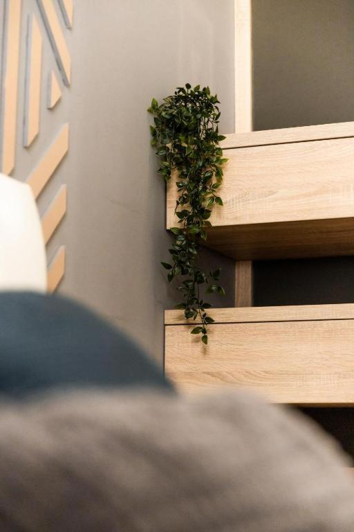 Deluxe Quentin Home Next To The Fashion Street Budapest Luaran gambar